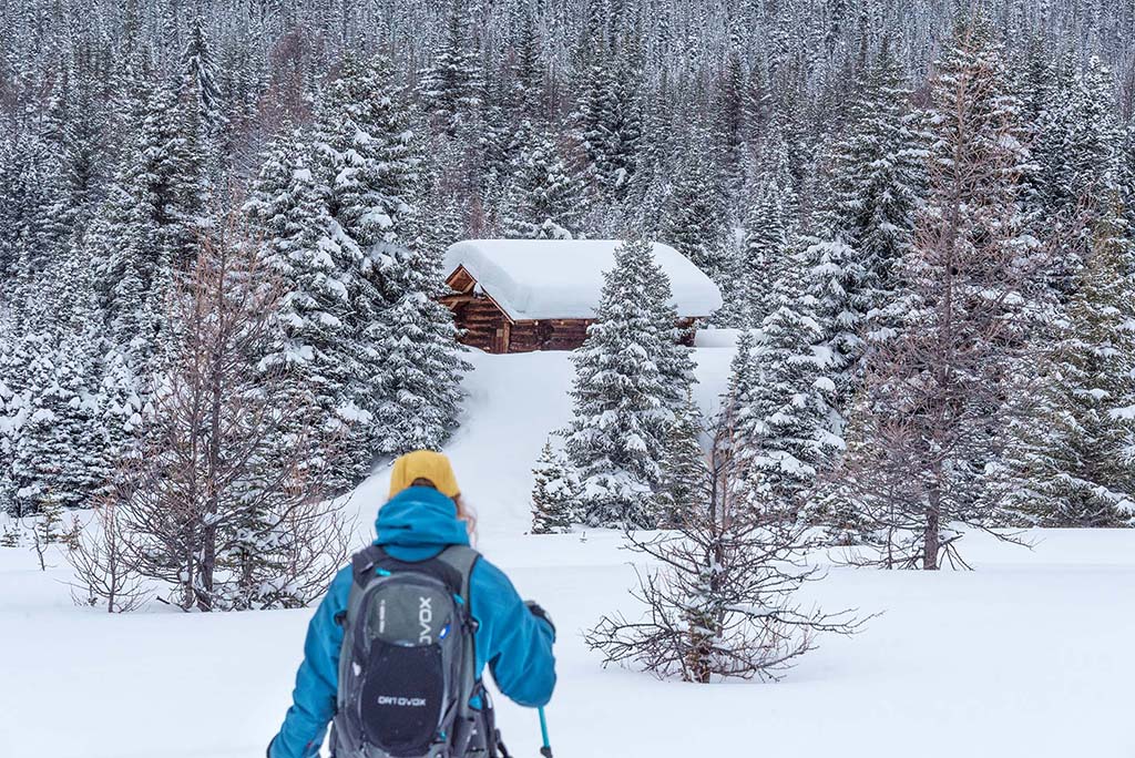 Cross-country skier approaching cabin through snowy forest