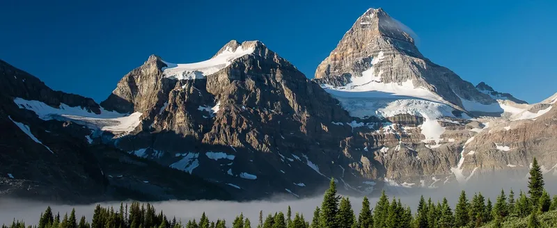 Wildflower meadows with mountain peaks in summer