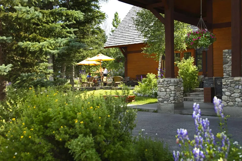 Buffalo Mountain Lodge's stone patio with log structure, yellow umbrella, and purple wildflowers.