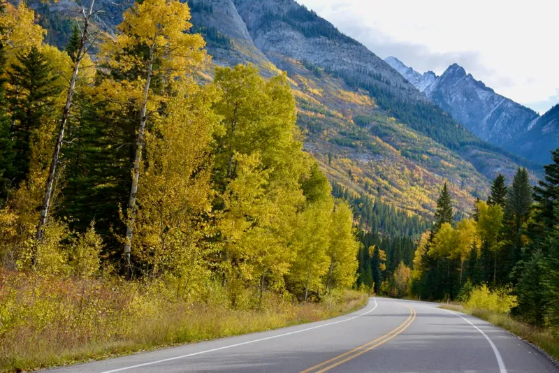 Highway through aspens in golden fall color with rocky mountains rising beyond Johnston Canyon Lodge.