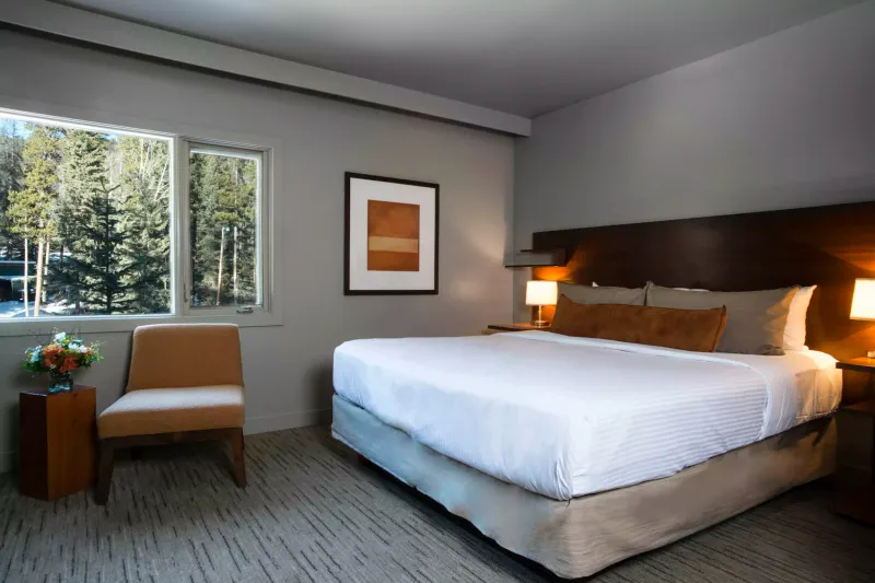 King Standard room interior