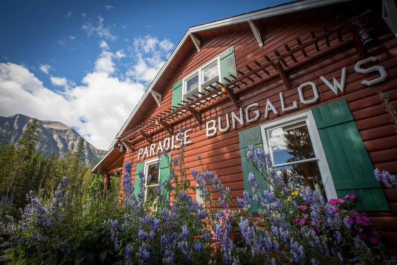 Paradise Lodge's red log bungalow with green shutters and blooming purple wildflowers, mountains behind.