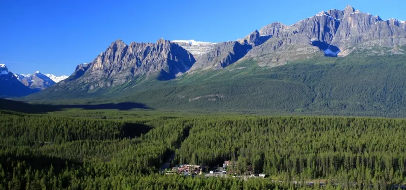 Sunwapta Falls Rocky Mountain Lodge nestled in dense conifer forest beneath jagged peaks.